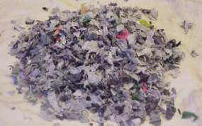 trucioli.jpg (9804 byte)